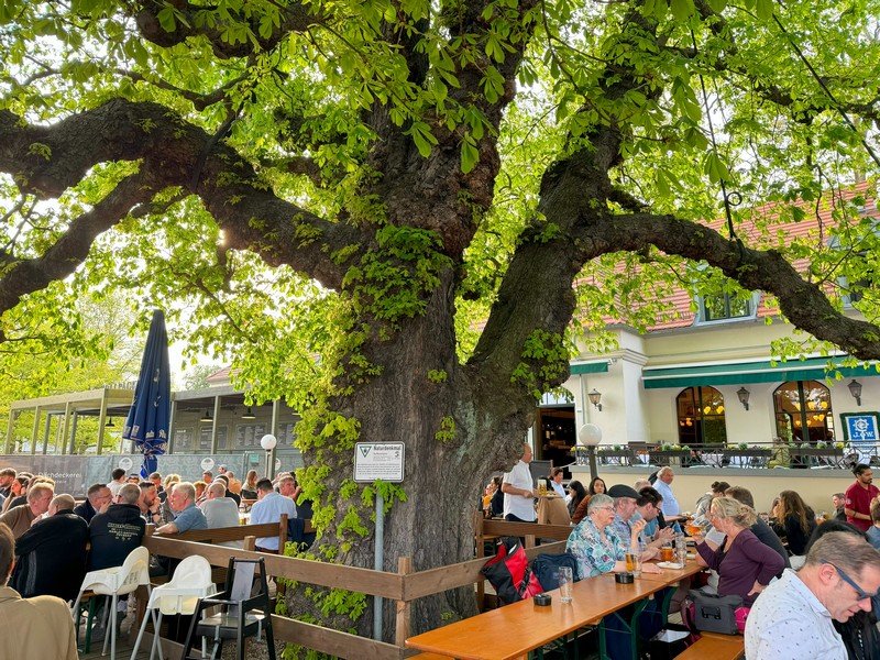 15 Best Beer Gardens in Berlin